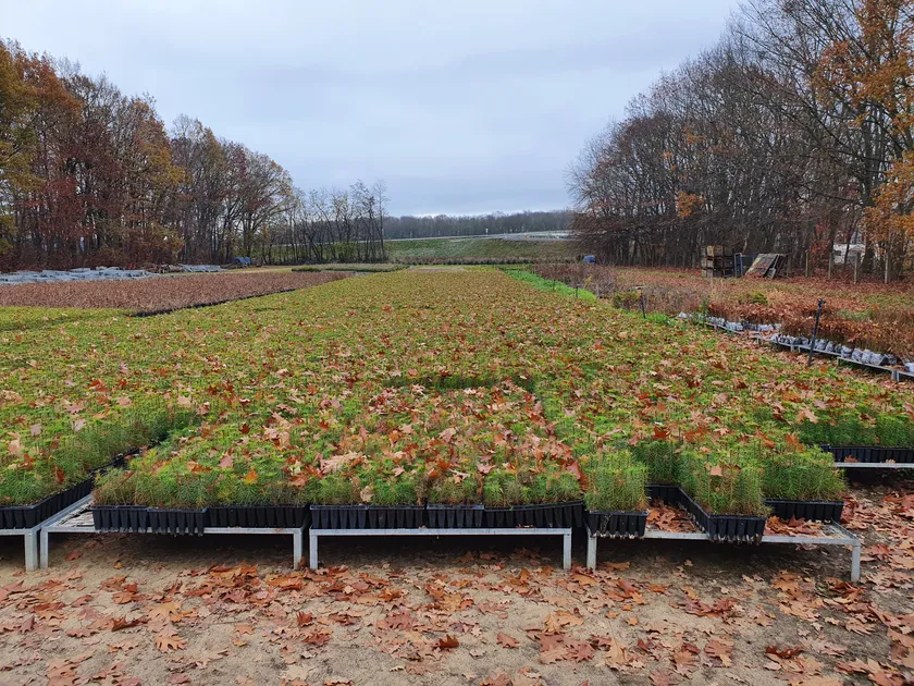 Satźenice Moravský Písek