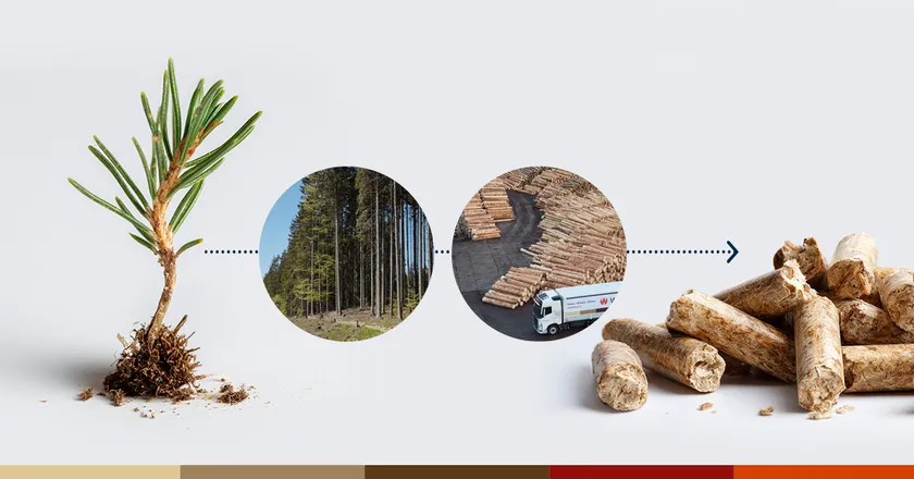 Od semínka až po pelety